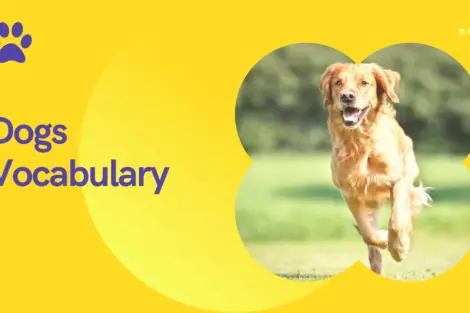 Dogs Vocabulary